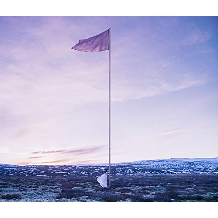 I beg you/花びらたちのマーチ/Sailing初回生産限定盤 Aimer Amazon.co.jp: I beg you / 花びらたちのマーチ / Sailing(初回